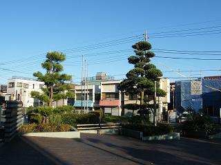 216024s.jpg 800x600 159KB 