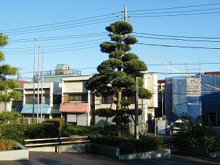 216026s.jpg 800x600 190KB 