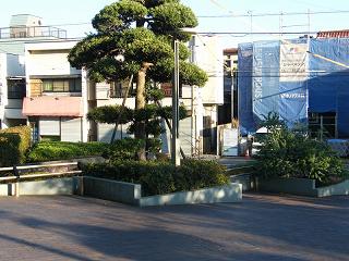 216030s.jpg 800x600 211KB 