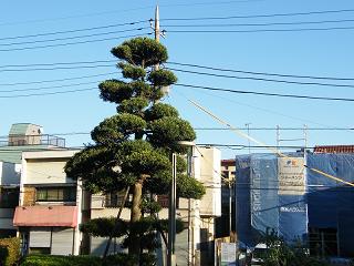 216031s.jpg 800x600 180KB 