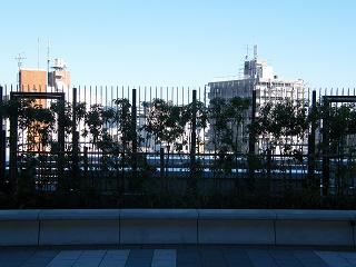 214106s.jpg 800x600 156KB 