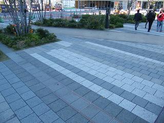 214117s.jpg 800x600 239KB 