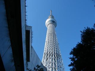 214120s.jpg 800x600 113KB 