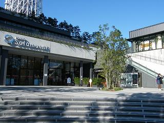 214123s.jpg 800x600 199KB 