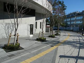 214124s.jpg 800x600 222KB 