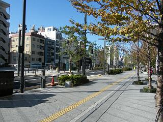 214126s.jpg 800x600 267KB 