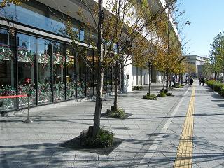 214128s.jpg 800x600 271KB 