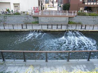 214134s.jpg 800x600 241KB 