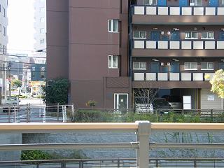 214136s.jpg 800x600 163KB 