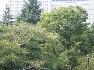15016s.jpg 800x600 291KB 