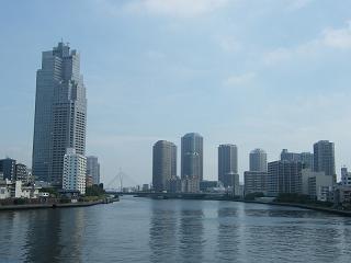 16006s.jpg 800x600 101KB 