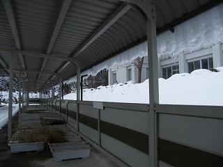 08019s.jpg 800x600 111KB 