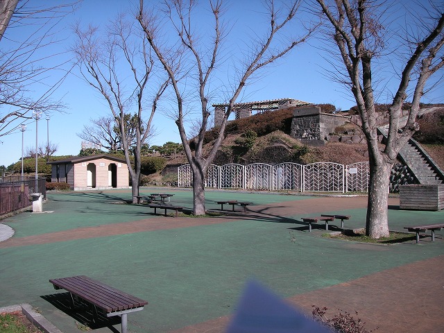 0459s.jpg