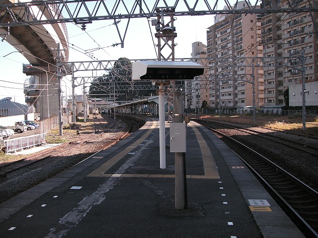 0216s.jpg