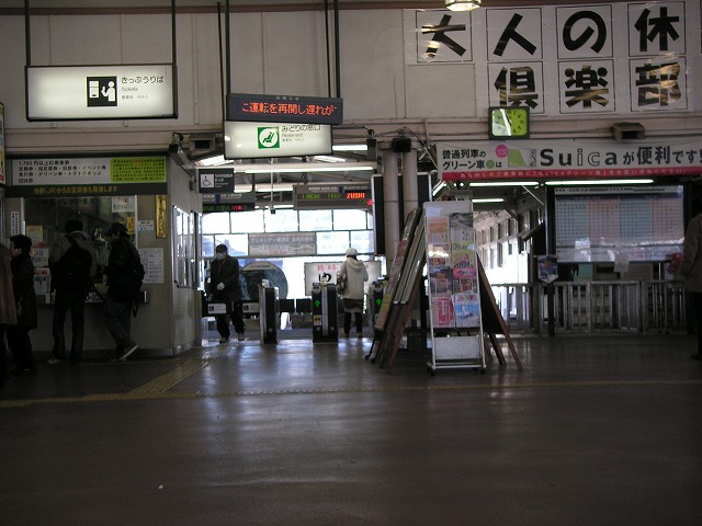 0217s.jpg