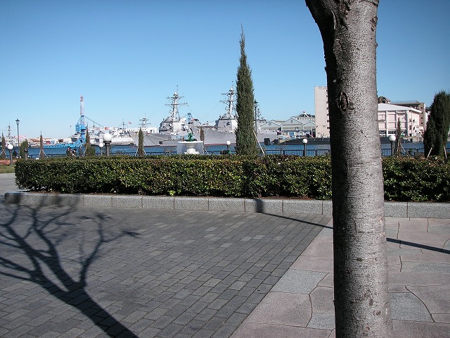 0242s.jpg