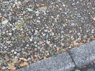 01012s.jpg 800x600 284KB 