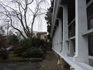 01024s.jpg 800x600 189KB 