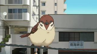 10001.jpg 512x288 33KB 