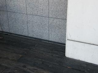 01030s.jpg 800x600 176KB 