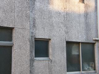 10022s.jpg 800x600 244KB 