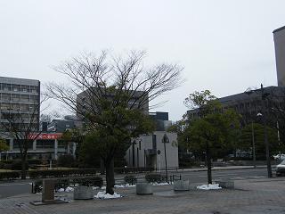 03052s.jpg 800x600 148KB 