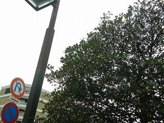 05069s.jpg 800x600 230KB 