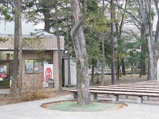 g201s.jpg 800x600 223KB 