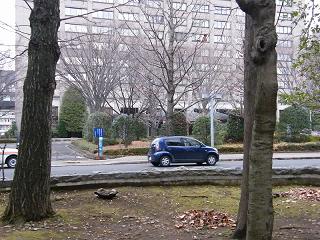 g210s.jpg 800x600 252KB 