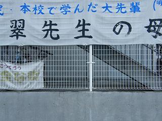 g082s.jpg 800x600 185KB 