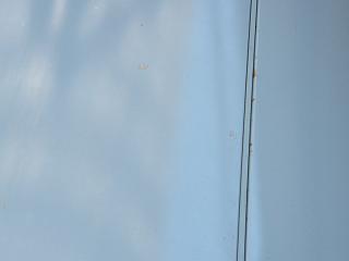 07023s.jpg 800x600 70KB 