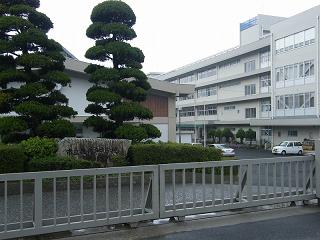 0109s.jpg 800x600 175KB 