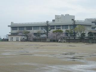 0135s.jpg 800x600 123KB 