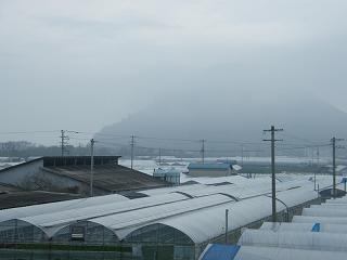 0201s.jpg 800x600 84KB 