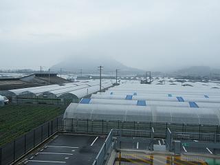 0218s.jpg 800x600 104KB 