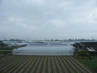 0606s.jpg 800x600 109KB 