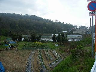 0625s.jpg 800x600 174KB 