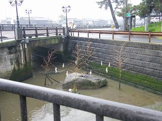 0107s.jpg 800x600 190KB 