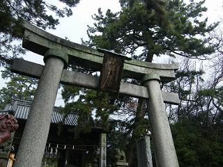 0133s.jpg 800x600 260KB 