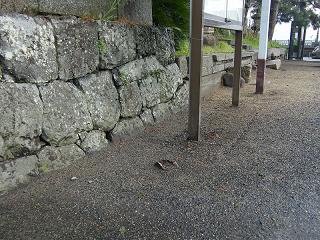 1031s.jpg 800x600 289KB 