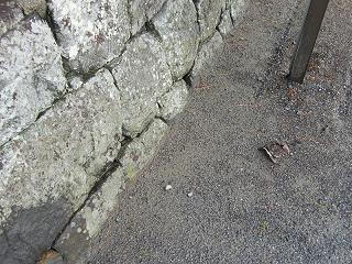 1033s.jpg 800x600 309KB 