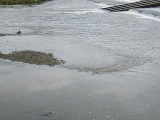 1039s.jpg 800x600 165KB 