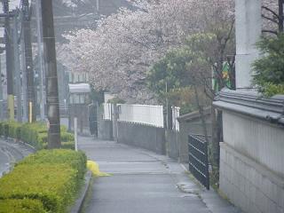 1236s.jpg 800x600 151KB 