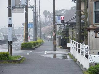 1237s.jpg 800x600 172KB 