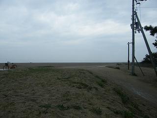 0101s.jpg 800x600 113KB 