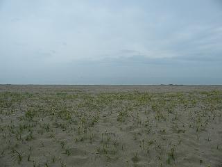 0326s.jpg 800x600 130KB 