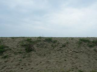 04125s.jpg 800x600 115KB 