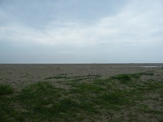 0615s.jpg 800x600 116KB 