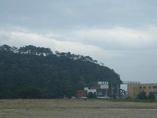 0617s.jpg 800x600 91KB 