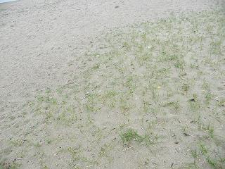 0618s.jpg 800x600 256KB 